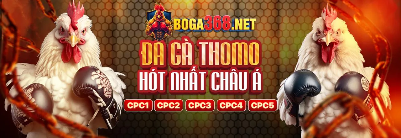 Chính Sách Cookie của Hello88